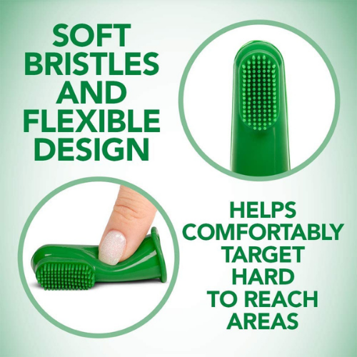 How to Brush Your Dog's Teeth & Why You Should Preventive Vet